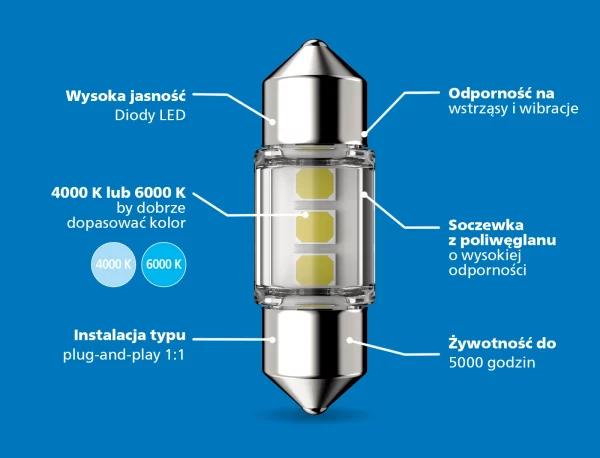 Żarówka LED